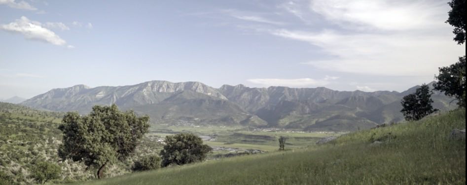 Kürt yönetmene ‘en iyi film’ ödülü